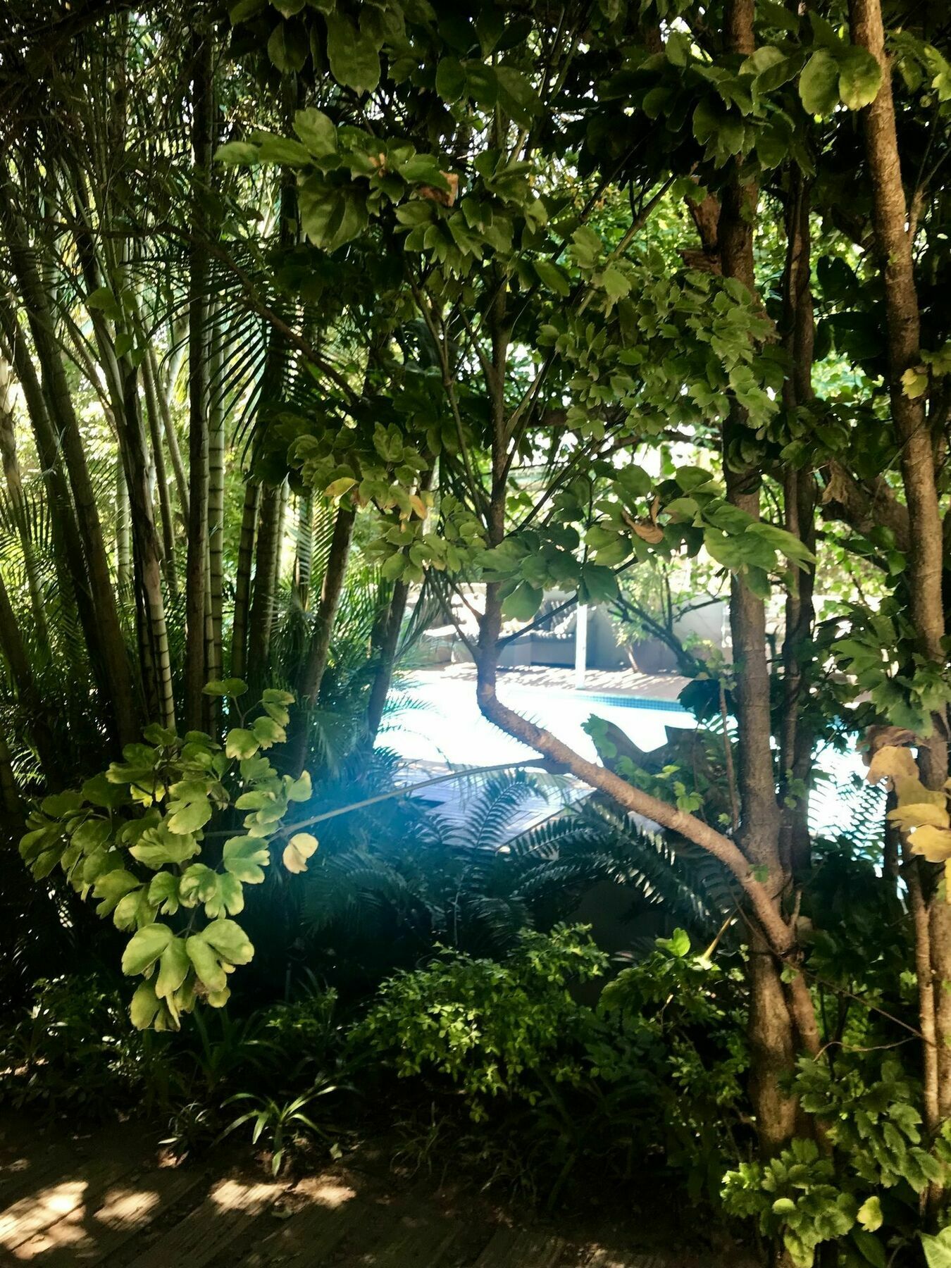 Beach Forest Lodge Ballito Zewnętrze zdjęcie